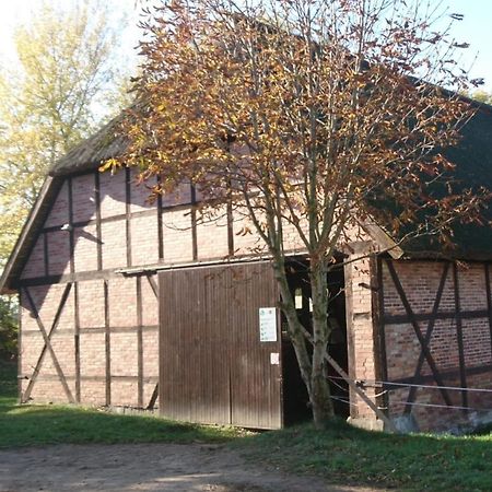 Appartement Reiterhof Gross Stubben à Poseritz Extérieur photo
